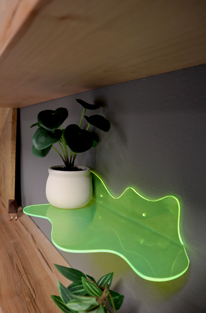 Large Acrylic Shelf